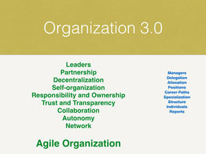 Agile Organization - organization 3.0