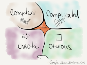 Cynefin framework - Complexity