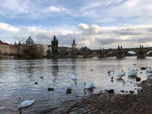 Prague - Charles Bridge