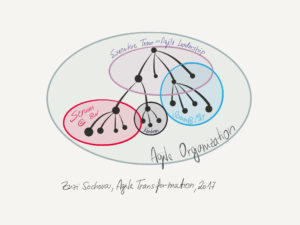 Agile Transformation bubbles