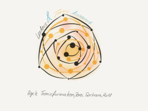 Agile Transformation disconnect